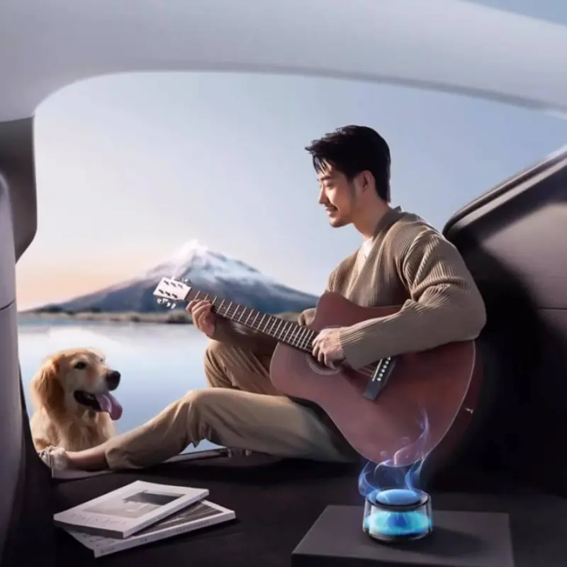 Torras Car Aromatherapy